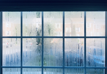 Foggy Window