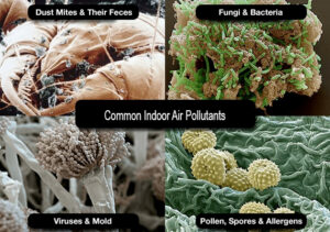 Indoor Air Pollutants